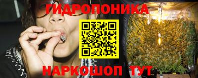 кокс Гусь-Хрустальный