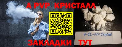 шишки Гагарин