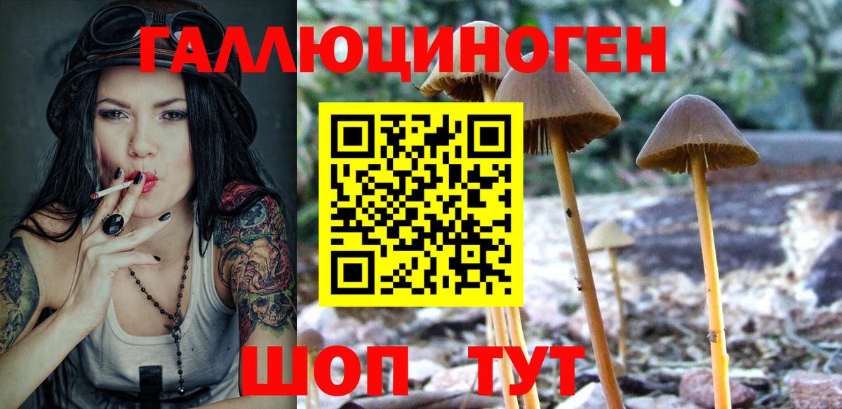 Галлюциногенные грибы Magic Shrooms  Вход с VPN  Карпинск 