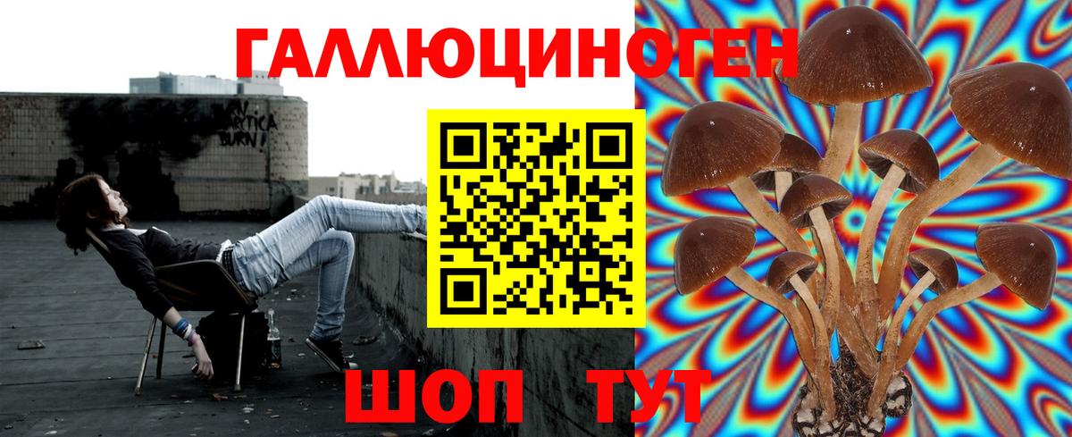 Галлюциногенные грибы мицелий Карпинск